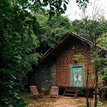 Vihanga Village - Jungle Retreat In 담불라 외부 사진